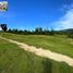  Land for sale in Cebu Central Visayas, Barili