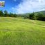  Land for sale in Cebu Central Visayas, Barili