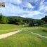  Land for sale in Cebu Central Visayas, Barili