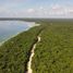  Grundstück zu verkaufen in Othon P Blanco, Quintana Roo, Othon P Blanco