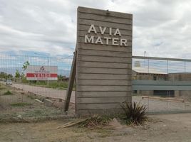  Land for sale in Guaymallen, Mendoza, Guaymallen