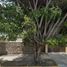 5 Habitación Villa en venta en Temixco, Morelos, Temixco