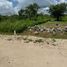 Terrain à vendre à Conkal, Yucatan, Conkal