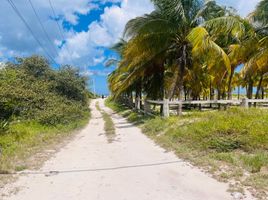  Terreno (Parcela) en venta en Ixil, Yucatán, Ixil