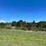  Land for sale in Entre Lagos, Osorno, Entre Lagos