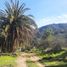  Land for sale in Tiltil, Santiago, Tiltil