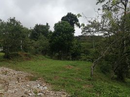  Land for sale in Guavata, Santander, Guavata