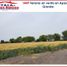  Land for sale in Apaseo El Grande, Guanajuato, Apaseo El Grande