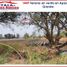 Land for sale in Apaseo El Grande, Guanajuato, Apaseo El Grande
