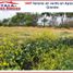  Land for sale in Apaseo El Grande, Guanajuato, Apaseo El Grande