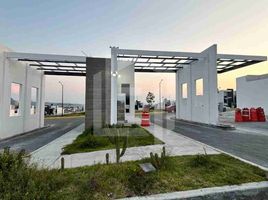  Grundstück zu verkaufen in Pachuca De Soto, Hidalgo, Pachuca De Soto, Hidalgo