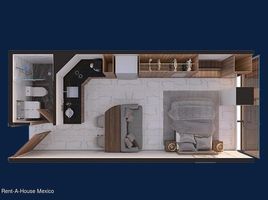 Condominium 1 chambre à louer à Miguel Hidalgo, Mexico City, Miguel Hidalgo