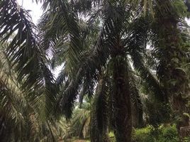  Tanah for sale in Sabak Bernam, Selangor, Pancang Bedena, Sabak Bernam