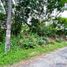  Land for sale in Paranaque City, Southern District, Paranaque City