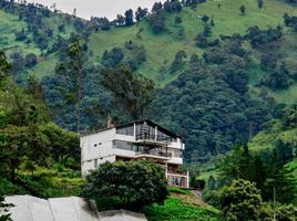 12 Schlafzimmer Haus zu verkaufen in Banos De Agua Santa, Tungurahua, Banos De Agua Santa, Banos De Agua Santa