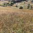  Land for sale in Choconta, Cundinamarca, Choconta