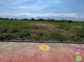  Land for sale in Palermo, Huila, Palermo