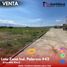  Land for sale in Palermo, Huila, Palermo