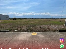  Land for sale in Palermo, Huila, Palermo