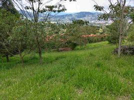  Terreno (Parcela) en venta en La Ceja, Antioquia, La Ceja