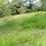  Land for sale in La Ceja, Antioquia, La Ceja