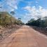 Land for sale in Kinchil, Yucatan, Kinchil