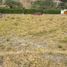  Land for sale in Malacatos Valladolid, Loja, Malacatos Valladolid, Loja, Loja