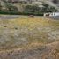  Land for sale in Malacatos Valladolid, Loja, Malacatos Valladolid, Loja, Loja