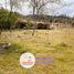  Land for sale in Canar, San Miguel, Azogues, Canar