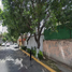 4 Schlafzimmer Haus zu verkaufen in Alvaro Obregon, Mexico City, Alvaro Obregon