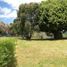  Land for sale in Alangasi, Pichincha, Alangasi