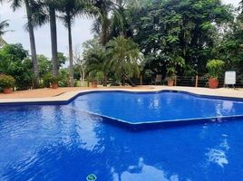2 Bedroom Apartment for rent in Jose Azueta, Guerrero, Jose Azueta