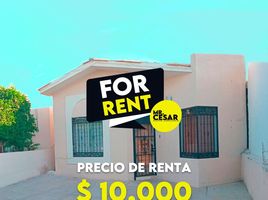 在墨西哥出租的 屋, Hermosillo, Sonora, 墨西哥