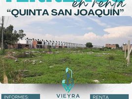  Land for rent in Irapuato, Guanajuato, Irapuato