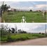  Land for rent in Irapuato, Guanajuato, Irapuato