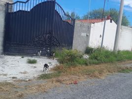  Grundstück zu verkaufen in Montemorelos, Nuevo Leon, Montemorelos