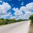  Land for sale in Dzemul, Yucatan, Dzemul