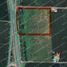  Land for sale in Silao, Guanajuato, Silao