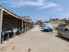  Terreno (Parcela) en venta en Chincha, Ica, Chincha Alta, Chincha