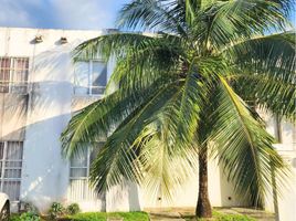 3 Habitación Casa en alquiler en Cozumel, Quintana Roo, Cozumel, Quintana Roo, México