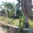 Terrain à vendre à Cuernavaca, Morelos, Cuernavaca, Morelos