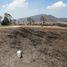  Land for sale in Chapa De Mota, Mexico, Chapa De Mota
