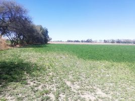  Land for sale in Silao, Guanajuato, Silao