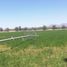 Land for sale in Silao, Guanajuato, Silao