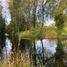  Land for sale in Pitrufquen, Araucania, Pitrufquen