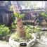  Land for sale in Mandaluyong City, Metro Manila, Mandaluyong City, Eastern District