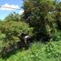  Land for sale in Jalpan De Serra, Queretaro, Jalpan De Serra
