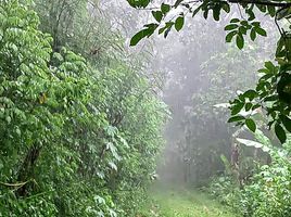  Tanah for sale in Kalibawang, Kulon Progo, Kalibawang