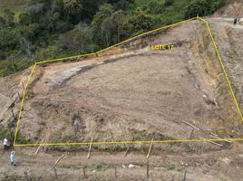  Land for sale in San Vicente, Antioquia, San Vicente