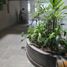 3 Schlafzimmer Appartement zu verkaufen in San Borja, Lima, San Borja, Lima, Lima